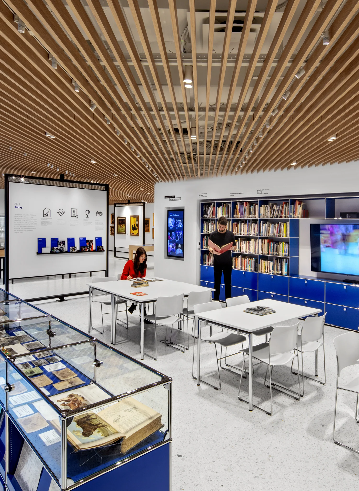 muebles usm historia adeyaka